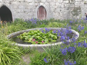 jardin chateau montrottier