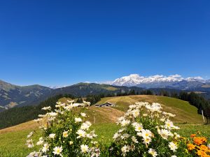 col des aravis
scenic drive from Annecy to Chamonix