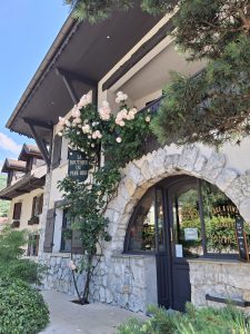 Talloires Annecy lake tour