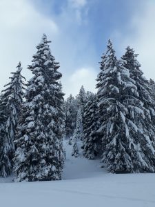 Semnoz