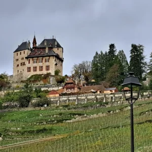 Menthon St Bernard Castle