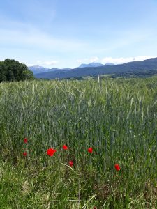 Chapeiry taxi geneva airport