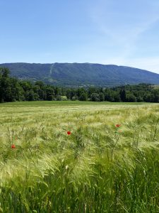 Chapeiry taxi geneva airport