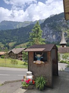 Lauterbrunnen taxi annecy