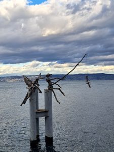 Christmas near Annecy