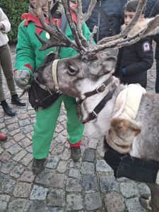 Christmas near Annecy