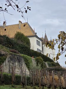 Taxi Vevey Annecy Taxi Nyon Annecy