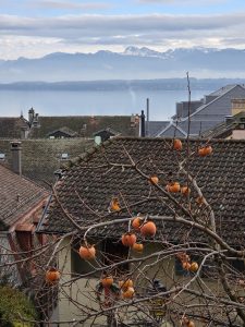 Taxi Annecy Vevey Nyon