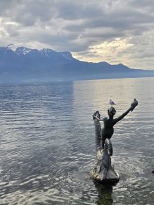 Taxi Annecy Vevey Nyon